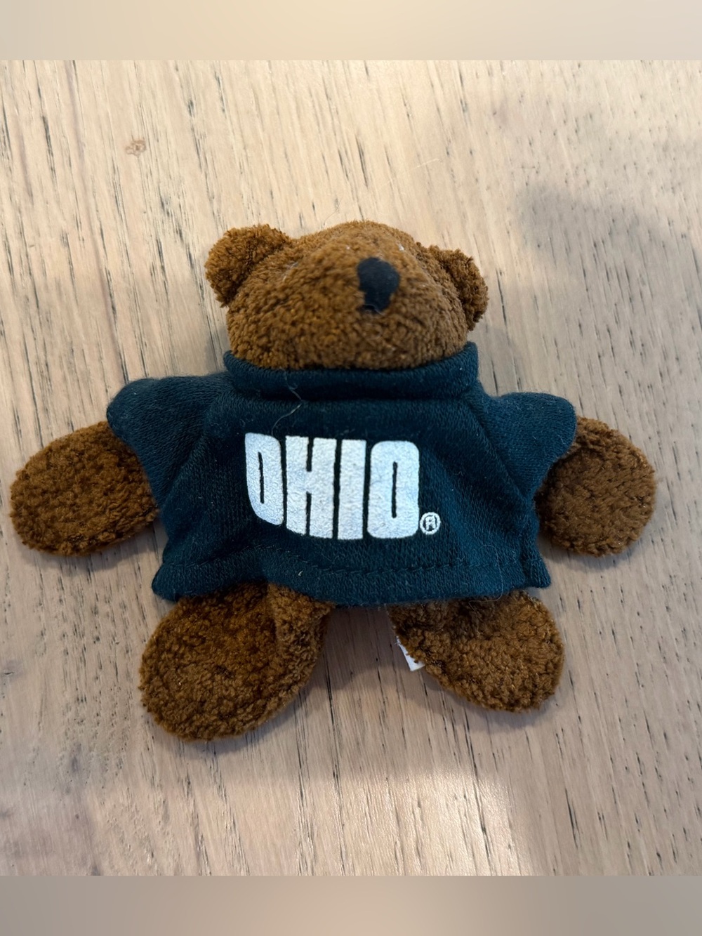 Ohio University Bear Magnet